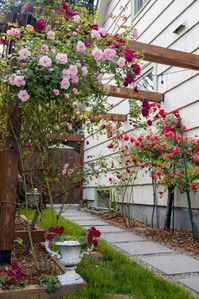 DIY Side Yard Walkway Pergola - This Dear Casa