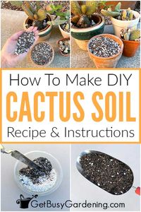 Are you wondering how to make the best soil mix for a cactus but aren’t sure what to include? With my easy to follow guide on how to make your own DIY cactus potting soil, you’ll learn a 3 ingredient recipe for a fast-draining one they’ll love. In addition to a supply list, alternative materials, and step by step instructions, learn how to store it long term so you can mix it once and use it again and again. With your homemade cactus soil mix you’ll grow them with much less fear of ...