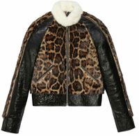 Trending Leather Jacket  with  leopard  print  fur