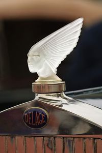 Rene Lalique - Spirit Of The Wind - Victoire - Car Images by Jill Reger