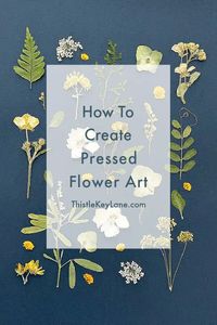 How To Create Art With Pressed Flowers - Thistle Key Lane