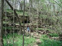 St. Francois State Park 63628 | Saint Francois State Park, a Missouri State Park located nearby Bonne ...