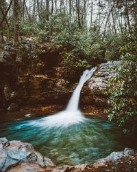 Plan A Visit To Blue Hole Falls, Tennessee's Beautifully Blue Waterfall