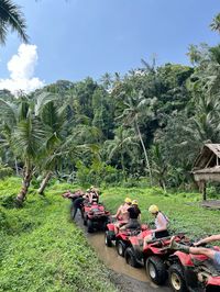 #ubud #bali #quads #friends #jungle #green #palm