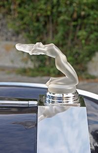 1956 Rolls-Royce Silver Wraith 'Perspex Roof' motif - Flickr - exfordy - René Lalique - Wikipedia, the free encyclopedia