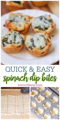 Spinach Dip Bites are crunchy, bite-size treats are cheesy and buttery, making them a great appetizer. They are a hit every time! #spinachdipbites #appetizer #spinachartichoke #cheesyspinachartichoke #appetizer