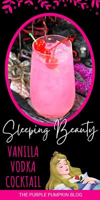 Disney isn't just for kids and this Sleeping Beauty Cocktail made with vanilla vodka and raspberry liqueur is for adults only! The pretty pink color will make you feel like Princess Aurora every time you take a sip of this magical beverage!