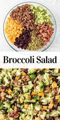 Broccoli Salad is the perfet side salad, main dish recipe or meal prep recipe for summertime.