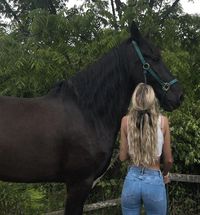 Healing, connecting to nature, farm girl era, tall dark brown horse, green forest trees, light washed skinny denim jeans, blonde beach wavy hair, basic white tank top, wellness, health, dream life, countryside, Paige Lorenze