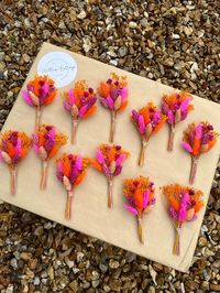 SOLD INDIVIDUALLY PER BUTTONHOLE. Hot pink and orange dried flower buttonhole.  We only use the highest quality dried and preserved flowers in all of our buttonholes and boutonnières, creating stunning accessories for your wedding! Please allow for any slight shade differences due to seasonal availability. Our buttonholes and boutonnières are perfect for both the bride and groom. By using dried and preserved flowers, as opposed to fresh flowers, our buttonholes and boutonnières are the ideal keepsake to treasure and reminisce about your special day! Approx. Measurements: 13cm tall x 9cm wide SOLD INDIVIDUALLY All buttonholes arrive with a pin. **Please check measurements of the buttonhole before ordering** --- PROCESSING & DELIVERY TIME --- Processing time is 1-3 working days Standard deli