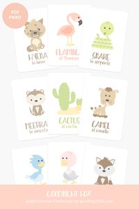 Looking for the cutest cactus nursery decor? Decorating your desert animal themed nursery with flamingo decor? This set of premium desert animal flashcards is the perfect way to bring a boho touch to your llama nursery! #flamingonursery #llamanursery #foxillustration #bohonurseryboy #bohonurserygirl #cactusnursery #desertanimalcraftspreschool #desertanimalpreschool #babygirlnursery #babyboynursery #desertanimalflashcards