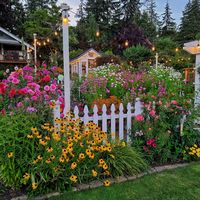 Are you thinking about starting a cut flower garden, and have no idea where to start? I'll show you the process I go through when planning my cut flower garden. #planningacutflowergarden #cottagegarden #flowergardenideas