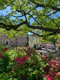 University of North Carolina Chapel Hill Tarheels