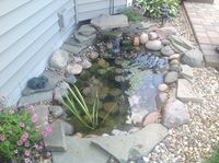 Backyard water feature.