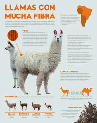 Infografía periodística sobre las llamas