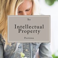 Intellectual Property Provision — The Creative Law Shop