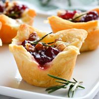 Best Cranberry Brie Bites Recipe - Top Recipes