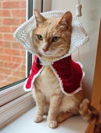 Christmas Cat Costume PDF Pattern Cat Cape Dog coat pet cloak cat collar gift Digital Download PDF 💫 ⊛CrochetHat ⊛HandmadeHats ⊛WinterFashion ⊛DIYHats ⊛CrochetAddict