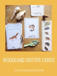 A pdf set of 16 woodland animal cards on 4 pages.    #TeachingResources #EducationCards #AnimalCards #Homeschool #HomeschoolResources