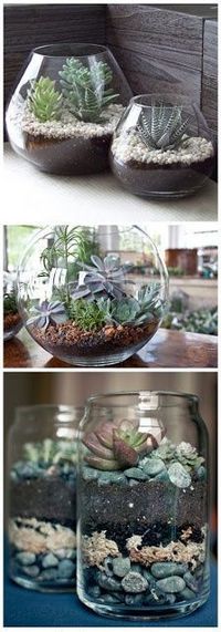 Really affordable terrariums - if you do it yourself you can personalise them and they look beautiful