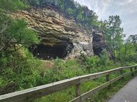 Sodalis Nature Preserve is a 200-acre park property that was given to the city to preserve endangered bats. It is now Hannibal’s second-largest park. Only non-motorized recreational activity is allowed, such as hiking, running and biking. The almost 2-mile loop trail is fully paved. #bats#hiking#Wildlife