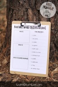 Nature Walk Observations and Scavenger Hunt Printable