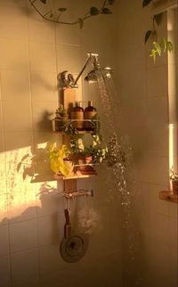 #roominspo #shower #plants #trending