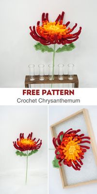 Beginner-friendly crochet pattern for creating lifelike Chrysanthemum flowers, including step-by-step photos.