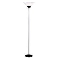 Simple yet elegant, this Adesso Pisces Black Floor Lamp offers a great source of light for your family room. UL listed for indoor use.