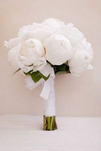 Coucou les filles ! Aujourd'hui on va faire notre choix de bouquets ! Dites moi quelle est pour vous le plus joli bouquet, ainsi que celui que vous aimez le moins : Le meilleur et le pire ! 1. 2. 3. 4. 5. 6. 7. 8. 9. 10. Voici le reste des éléments :