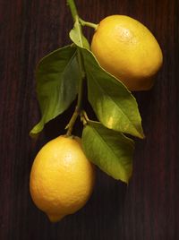 lemons © Christopher Griffith