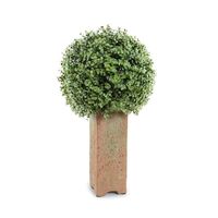 Boxwood Ball in Column Pot - New Growth Designs