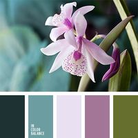 turquoise, turquoise and lilac, turquoise, pale lilac, pale lilac and turquoise, designer palettes, designer colors, yellowish green, green and turquoise, green and lilac, lilac and turquoise, lilac and pale lilac, lilac and green , purple, dark turquoise, green, purple orchids, purple orchids.