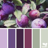 Nature-Inspired Color Palettes AKA Design Seeds For Designers, Crafters And Home Decorators | Bored Panda