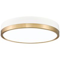 Algar by Z-Lite Matte White + Modern Gold 1 Light Flush Mount