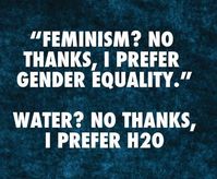 Women's liberation and feminism were words of PRIDE during second wave feminism.  Words matter. This lesson has somehow escaped third wave feminists.