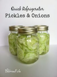 The Backroad Life: Quick Refrigerator Pickles and Onions