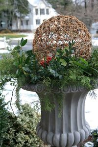 Winter urns - holly, boxwood, cedar & blue spruce, 12" grapevine spheres w/ lights. (white lights w/ brown wires)