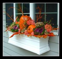 Autumn window box.