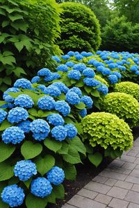 Discover 20 stunning hydrangea landscaping ideas to elevate your outdoor space! From blooming bushes to vibrant flower beds, get inspired to create a serene oasis. Click to explore and start planning your dream garden today!