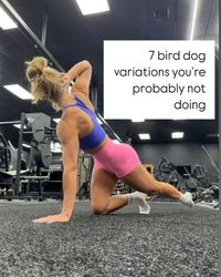 Dr. Meghan Sak-Ocbina PT, DPT, ATC, CSCS on Instagram: "7 BIRD DOG VARIATIONS YOU PROBABLY AREN’T DOING! 

The bird dog is a classic rehab exercise that, like anything else, can be turned up or down according to someone’s ability levels! 

I love giving these (& many other variations) to clients: from geriatric, to pediatric, to pregnant/postpartum, to power lifters (the latter surprisingly humbled by a body weight core exercise done correctly 😆). 

Some faves:

🦉Bird dog with eccentric reach - This is a new one I’ve come up with and the core activation I get with the “throw” is WILD!! Best with a Kb, but can do with another implement, too. 

🦩 Bird dog with hip abduction - This one is a bit of a brain exercise, too! I love it as the added hip abduction at the end further challenges cor