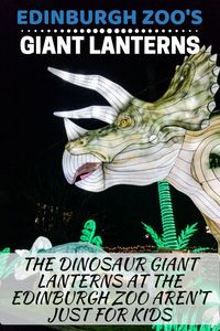 To complete our Edinburgh Hogmanay celebration, Laura and I went to see the Dinosaur Giant Lanterns at the Edinburgh Zoo. We were both fascinated. #EdinburghZoo #VisitScotland #Lanterns #GiantLanterns #Dinosaurs #Edinburgh