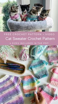 Crochet a sweater for your furry friend with with this easy crochet pattern for cats. Free crochet pattern and video tutorial.