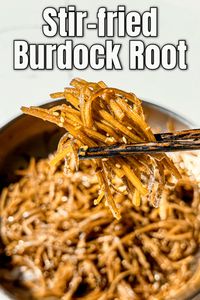 Burdock Root Stir-Fried Recipe & Video