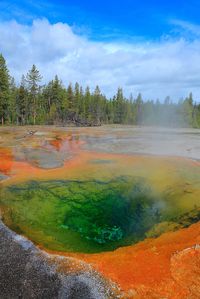 Clear Geyser Pool - Yellowstone National Park, Wyoming by Bill Edwards