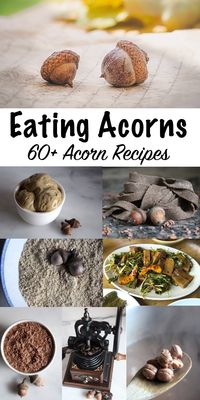 Eating Acorns: 60+ Acorn Recipes from Around the World