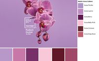 Pantone 2014 Radiant Orchid Kona palette by SewBlossomHeart, via Flickr