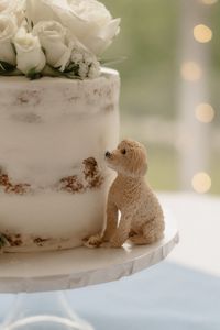 Clever way to incorporate your pet on your wedding day!