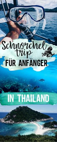 Schnorcheltrip in Thailand für Anfänger, einfacher schnorchelkurs, Ausflug Thailand, Urlaub 2019, Urlaub in Asien, Sehenswürdigkeiten Asien, Thailand, Schnorcheln auf Ko Tao, Inseln in Thailand, Reisen, Reiseguide, die schönsten Inseln zum Schnorcheln und Tauchen, Ausflüge Thailand, Abenteuerurlaub, Fische sehen, Bootsausflug Thailand.