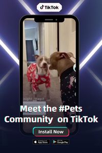 Discover the latest animal videos. It starts on TikTok.